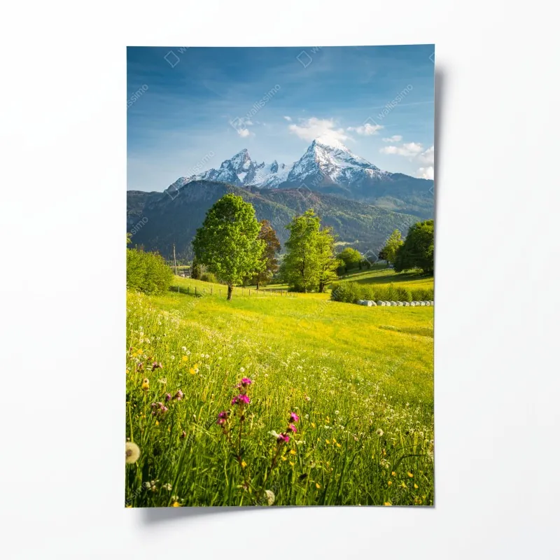 Plakat alpejska wiosenna łąka pod śnieżnymi szczytami