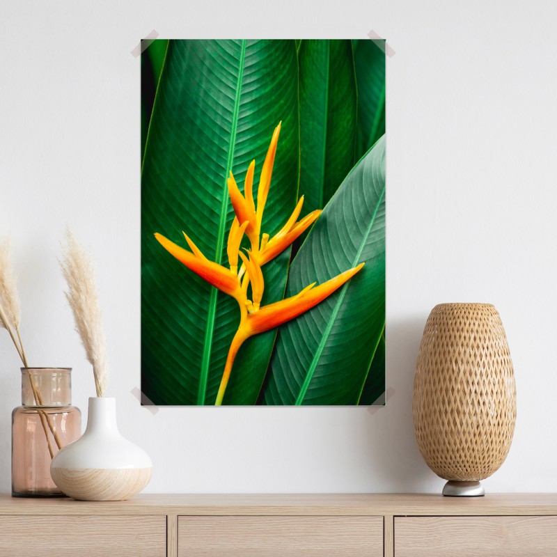 Plakat żywa heliconia na zielonych liściach – Wallissimo® Plakat żywa heliconia na zielonych liściach – Wallissimo®