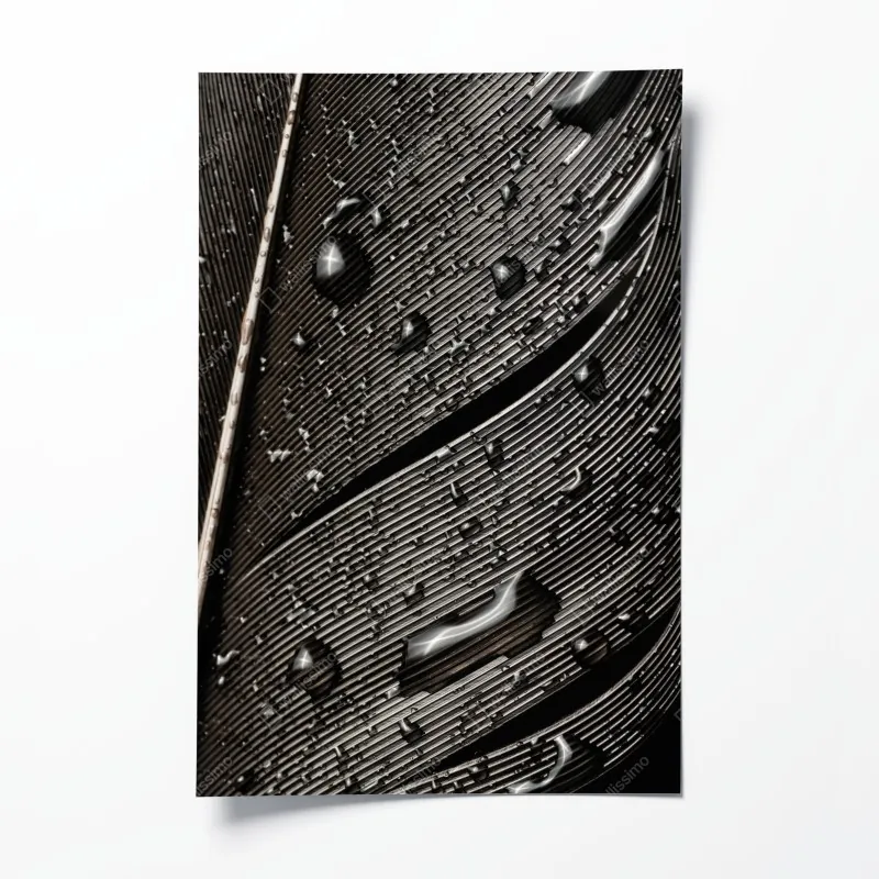 Plakat czarno-białe pióro z kroplami wody