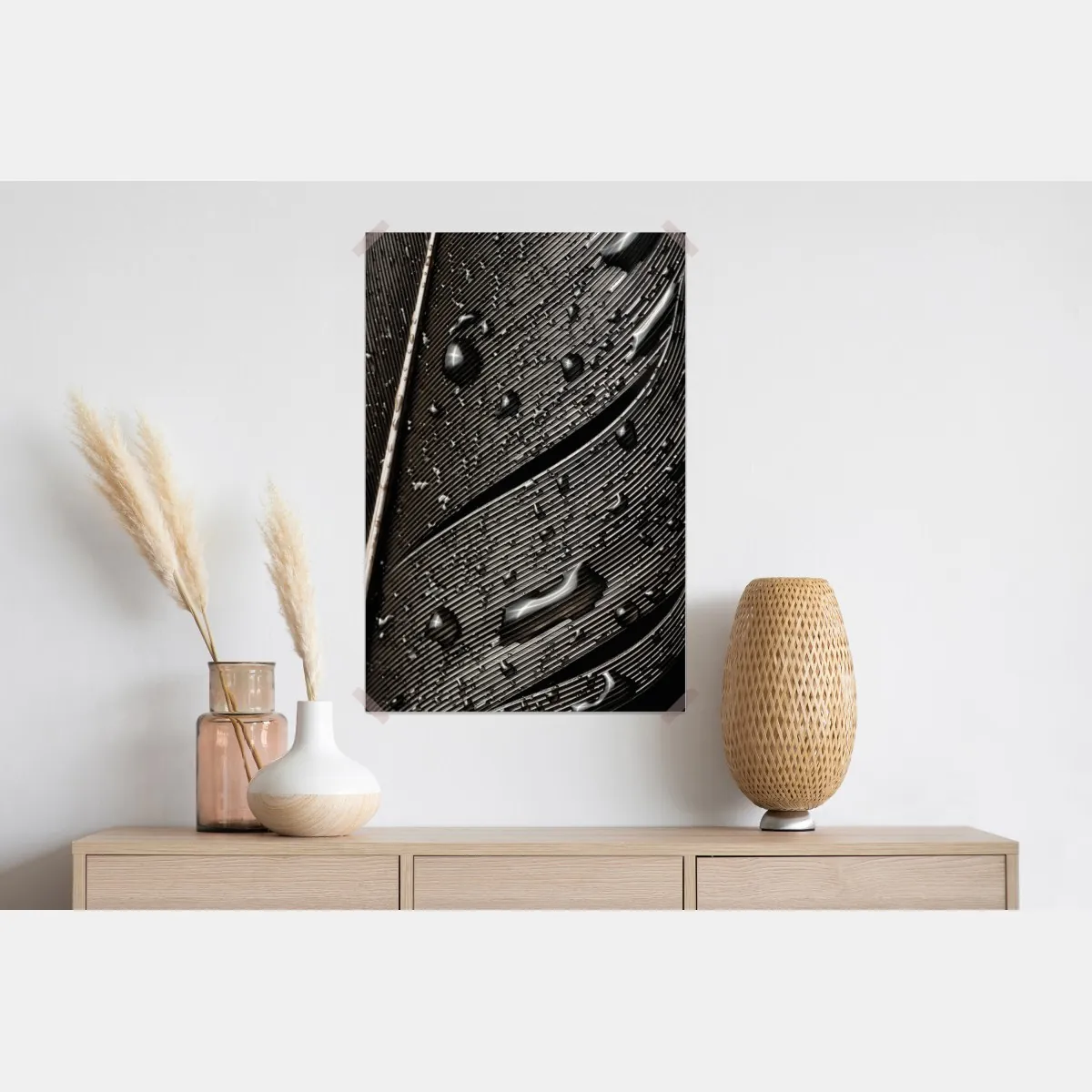 Plakat czarno-białe pióro z kroplami wody – Wallissimo® Plakat czarno-białe pióro z kroplami wody – Wallissimo®