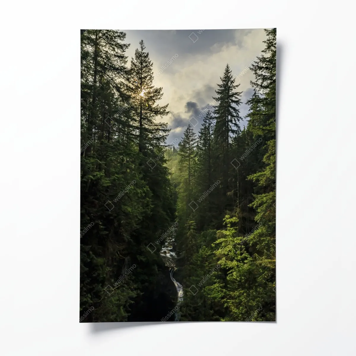 Plakat mglisty iglasty las z wodospadem – Wallissimo® Plakat mglisty iglasty las z wodospadem – Wallissimo®