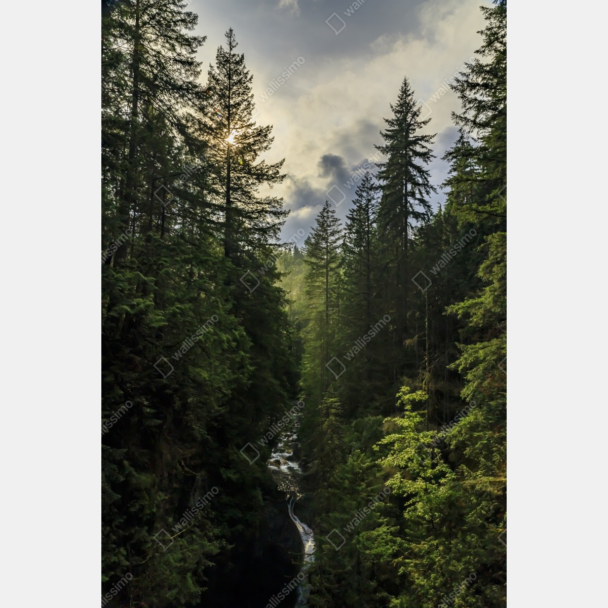 Plakat mglisty iglasty las z wodospadem – Wallissimo® Plakat mglisty iglasty las z wodospadem – Wallissimo®