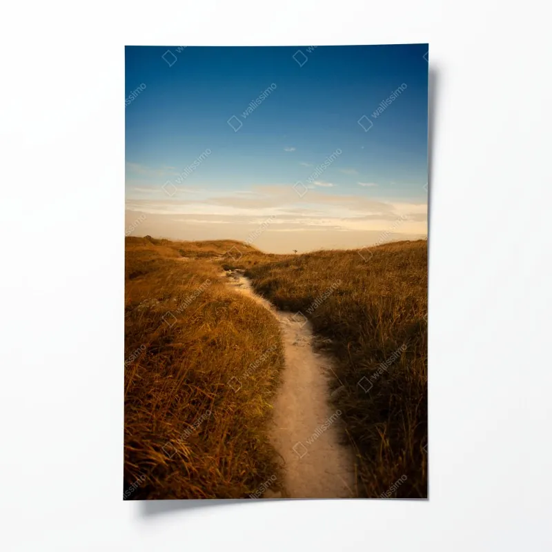 Plakat świt nad letnią łąką – Wallissimo®