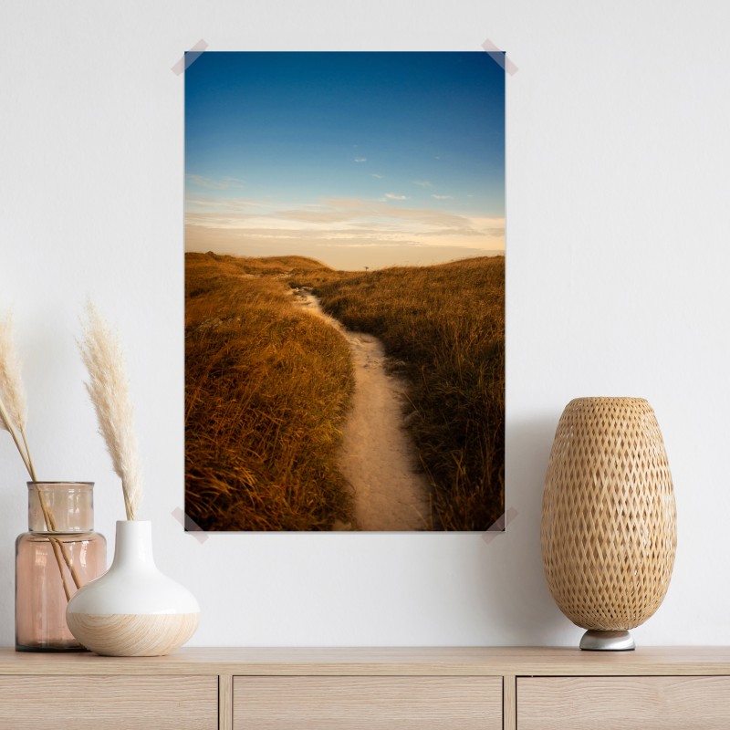 Plakat słoneczna ścieżka przez wydmy – Wallissimo® Plakat słoneczna ścieżka przez wydmy – Wallissimo®