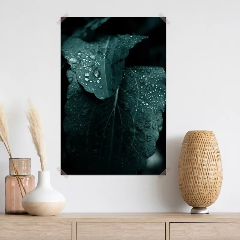 Plakat krople rosy na liściach – Wallissimo® Plakat krople rosy na liściach – Wallissimo®
