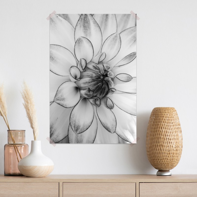 Plakat monochromatyczne zbliżenie dalii – Wallissimo® Plakat monochromatyczne zbliżenie dalii – Wallissimo®