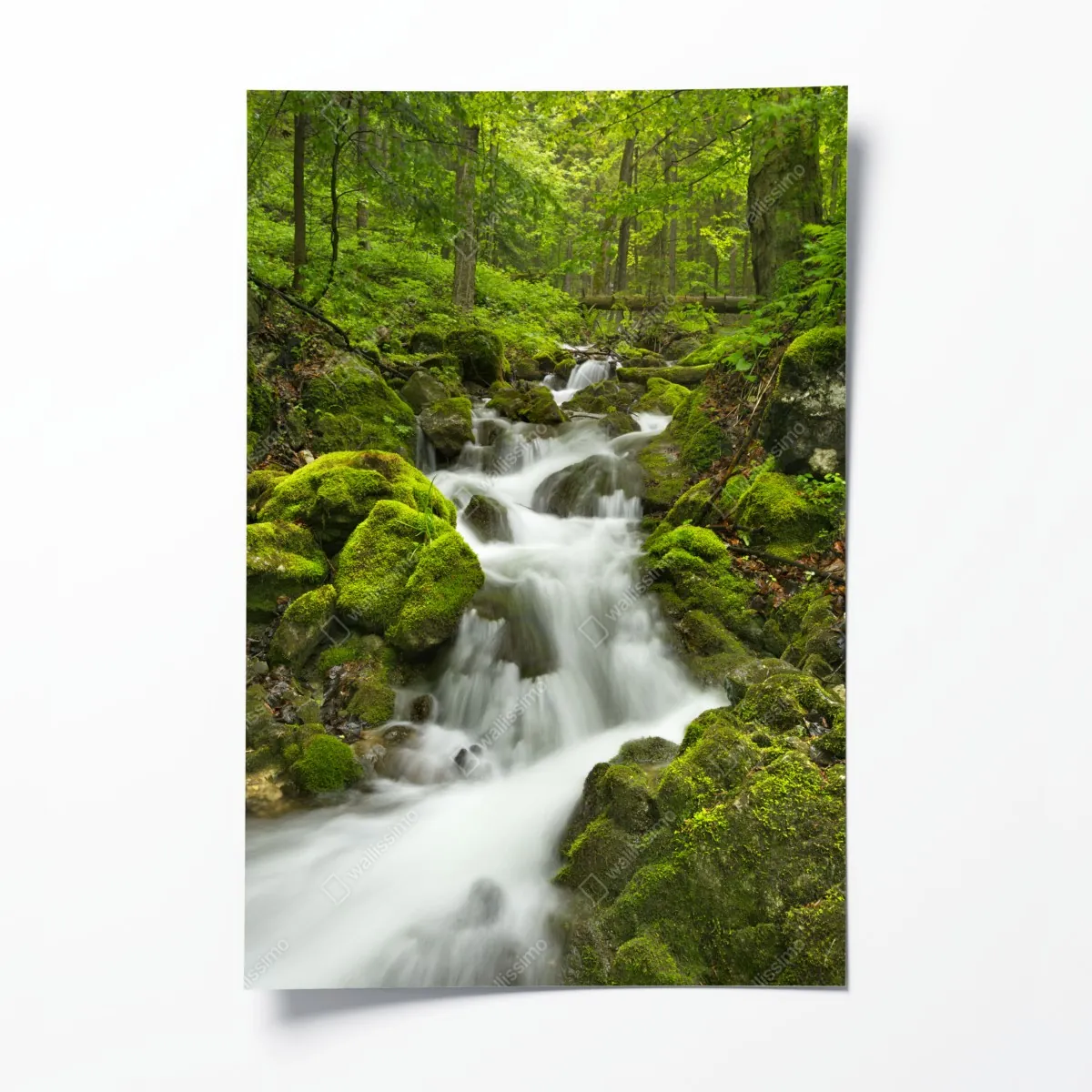 Plakat mechowy wodospad – Wallissimo® Plakat mechowy wodospad – Wallissimo®