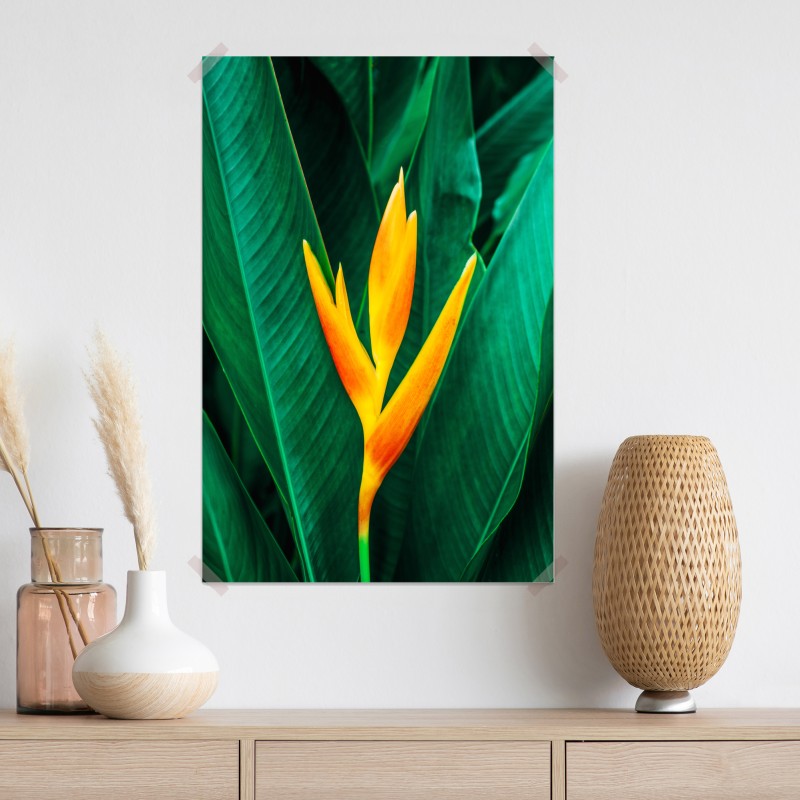 Plakat żywy tropikalny kwiat heliconia na tle zielonych liści – Wallissimo® Plakat żywy tropikalny kwiat heliconia na tle zielonych liści – Wallissimo®