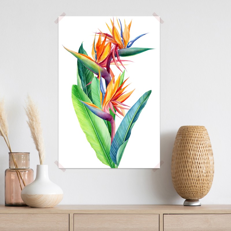 Plakat żywa strelicja akwarelowa ilustracja botaniczna – Wallissimo® Plakat żywa strelicja akwarelowa ilustracja botaniczna – Wallissimo®