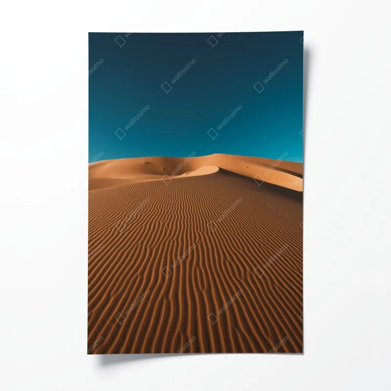 Plakat palmy z Kalifornii na Sunset Cliffs – Wallissimo®