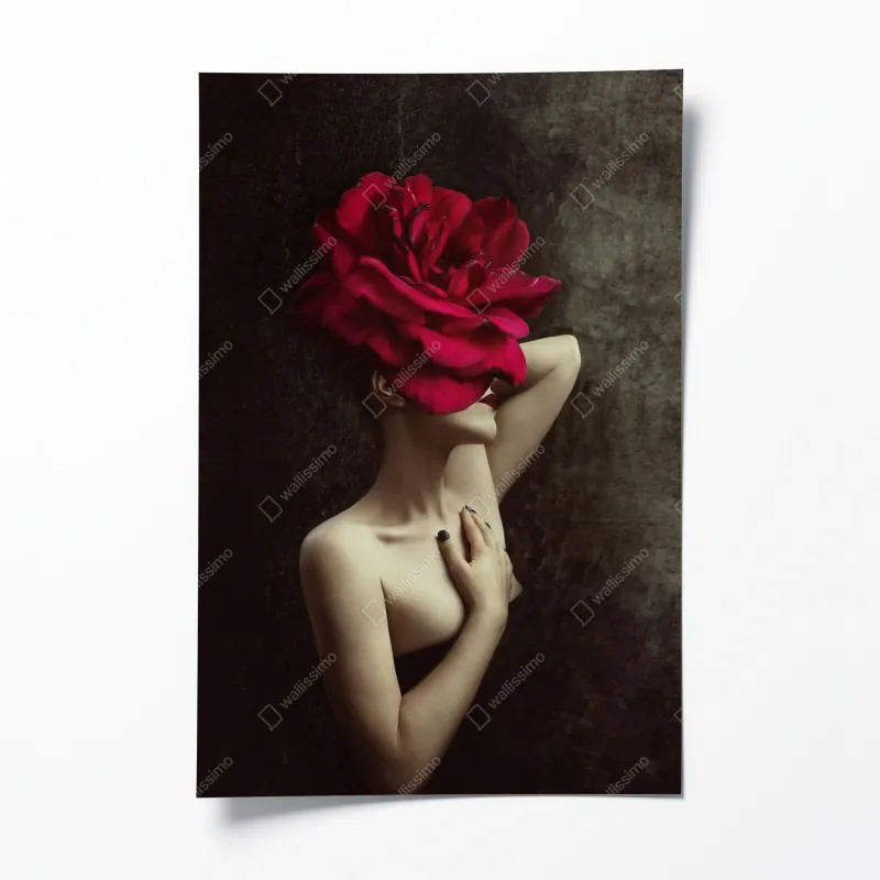 Plakat spokojny brzozowy gaj latem – Wallissimo®