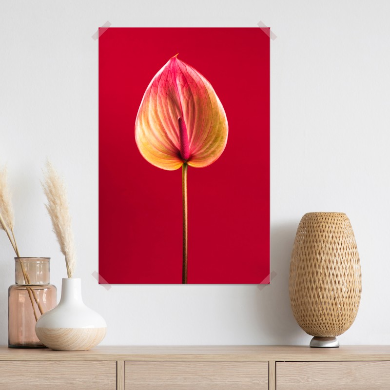 Plakat eleganckie anturium na czerwonym tle – Wallissimo® Plakat eleganckie anturium na czerwonym tle – Wallissimo®