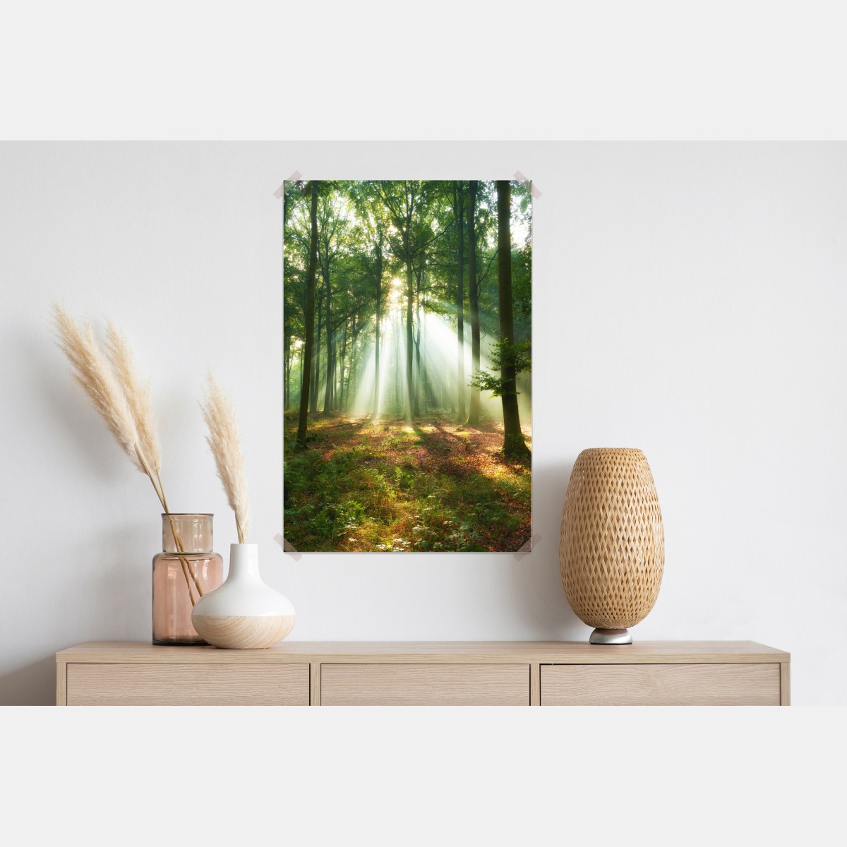 Plakat poranne światło w lesie – Wallissimo® Plakat poranne światło w lesie – Wallissimo®