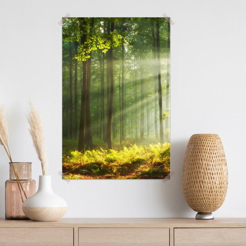Plakat poranne światło w lesie – Wallissimo® Plakat poranne światło w lesie – Wallissimo®