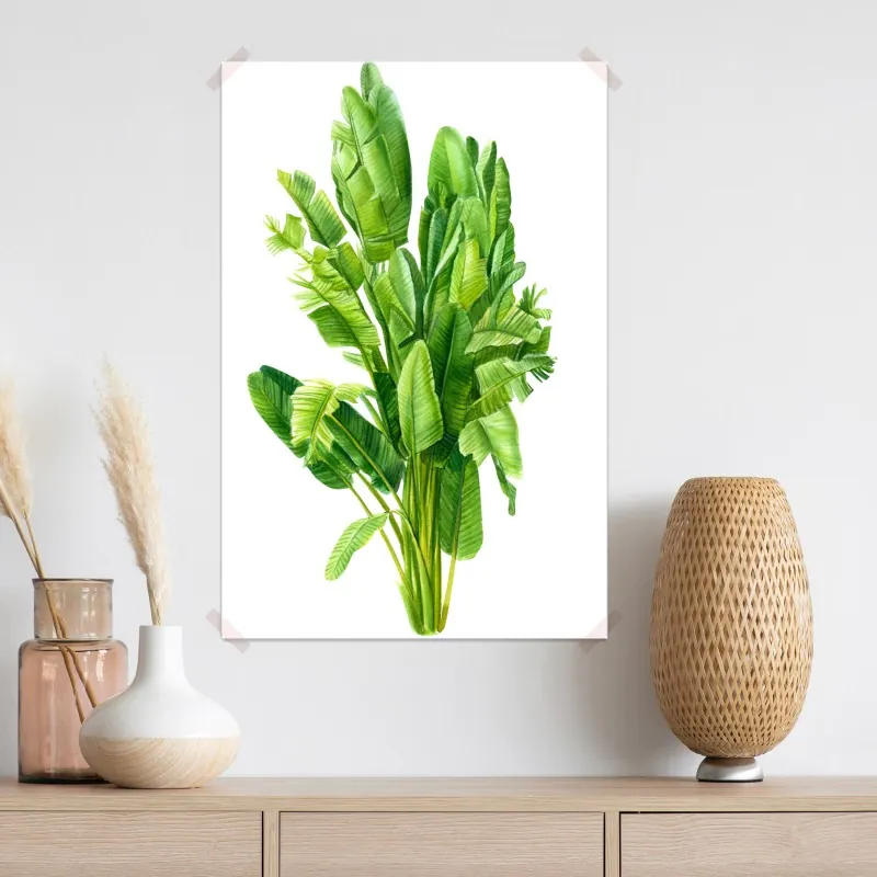 Plakat tropikalne liście bananowca w akwareli – Wallissimo® Plakat tropikalne liście bananowca w akwareli – Wallissimo®