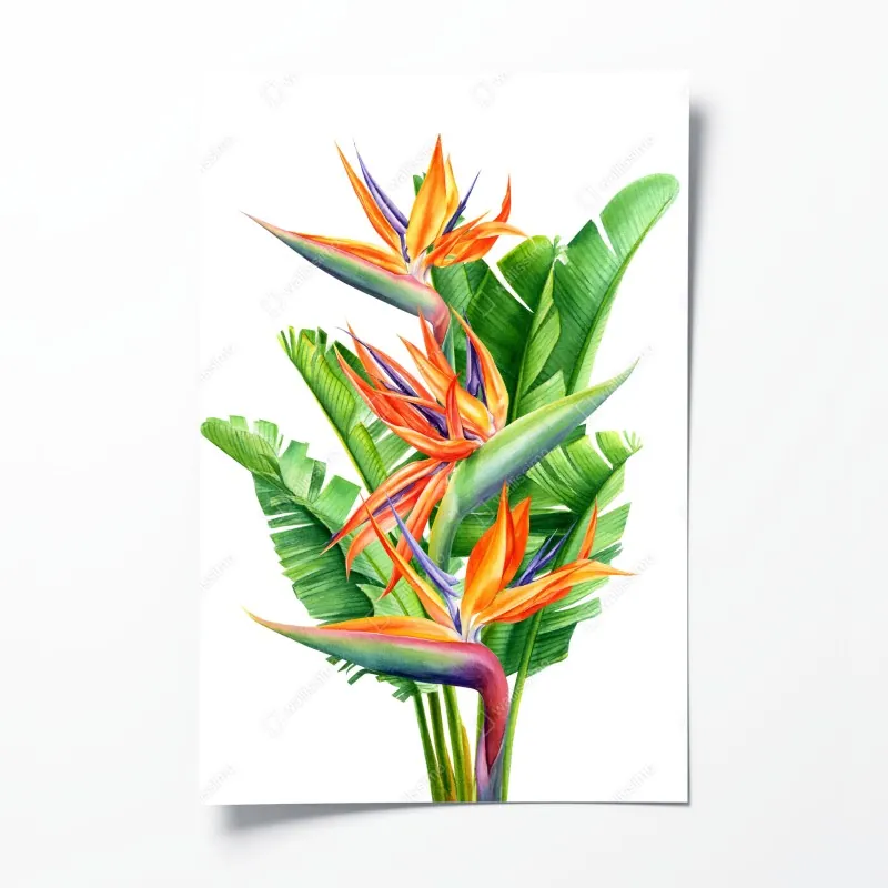 Plakat zachód słońca nad wiatrakami w Holandii – Wallissimo®