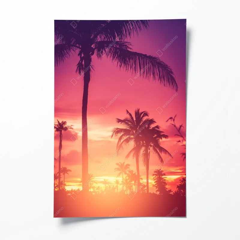 Plakat tropikalny zachód słońca z palmami