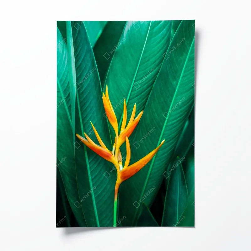 Plakat nieskończona ściana czerwonych róż – Wallissimo®