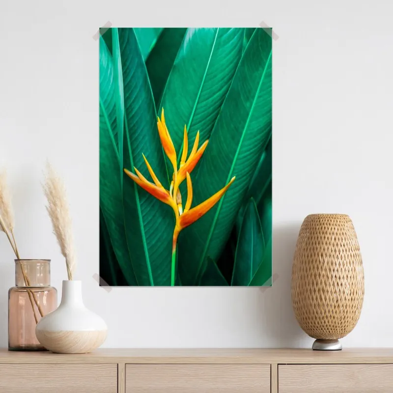 Plakat intensywny tropikalny ptak rajski na zielonych liściach – Wallissimo® Plakat intensywny tropikalny ptak rajski na zielonych liściach – Wallissimo®