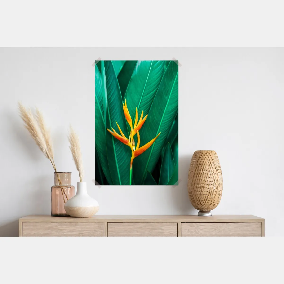 Plakat intensywny tropikalny ptak rajski na zielonych liściach – Wallissimo® Plakat intensywny tropikalny ptak rajski na zielonych liściach – Wallissimo®