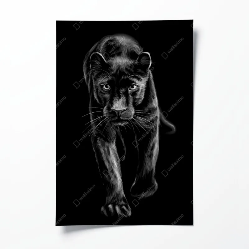 Plakat krocząca czarna pantera ilustracja