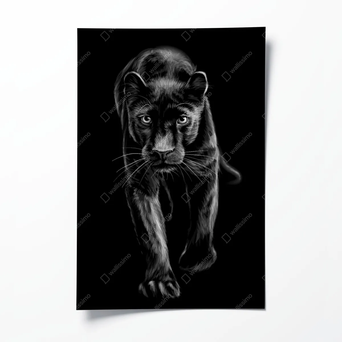 Plakat krocząca czarna pantera ilustracja – Wallissimo® Plakat krocząca czarna pantera ilustracja – Wallissimo®