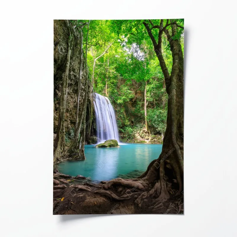 Plakat mglista tropikalna dżungla – Wallissimo®