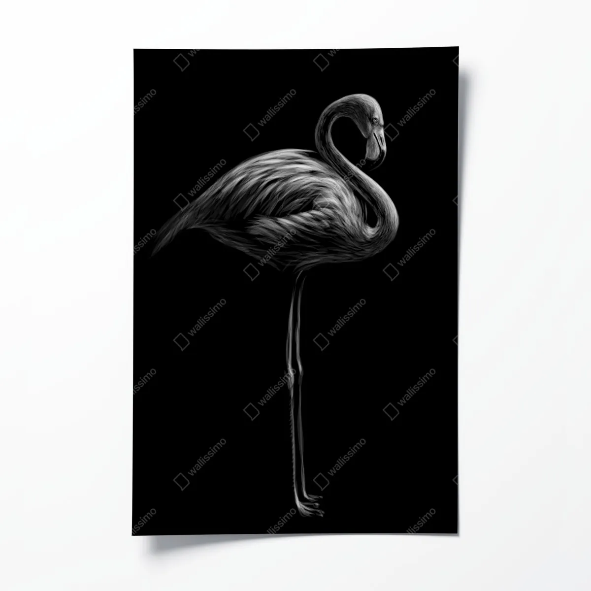 Plakat grafika flaminga w odcieniach szarości – Wallissimo® Plakat grafika flaminga w odcieniach szarości – Wallissimo®