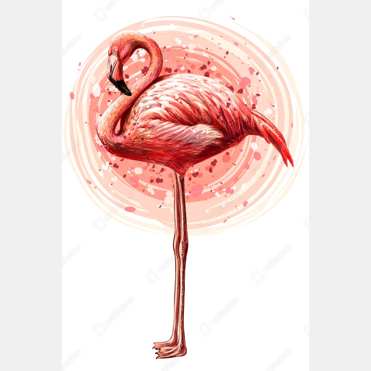 Plakat delikatny różowy flaming ilustracja akwarelowa – Wallissimo® Plakat delikatny różowy flaming ilustracja akwarelowa – Wallissimo®