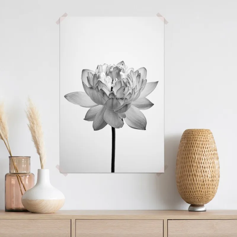 Plakat spokojny lotos w odcieniach szarości – Wallissimo® Plakat spokojny lotos w odcieniach szarości – Wallissimo®