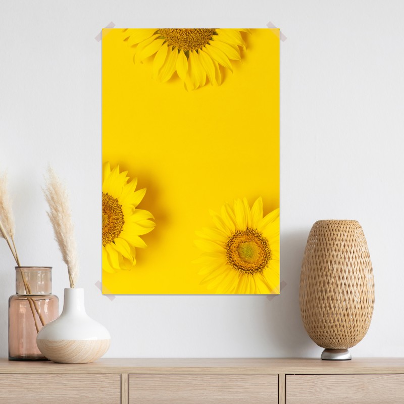 Plakat trio słoneczników na żółtym tle
