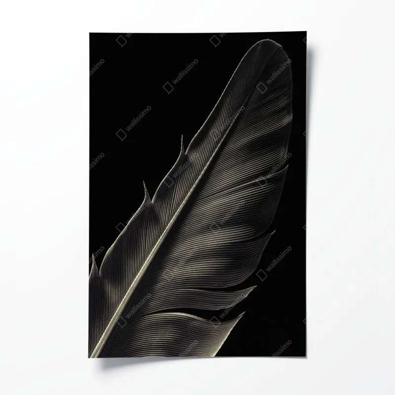 Plakat delikatne pióro w makrofotografii