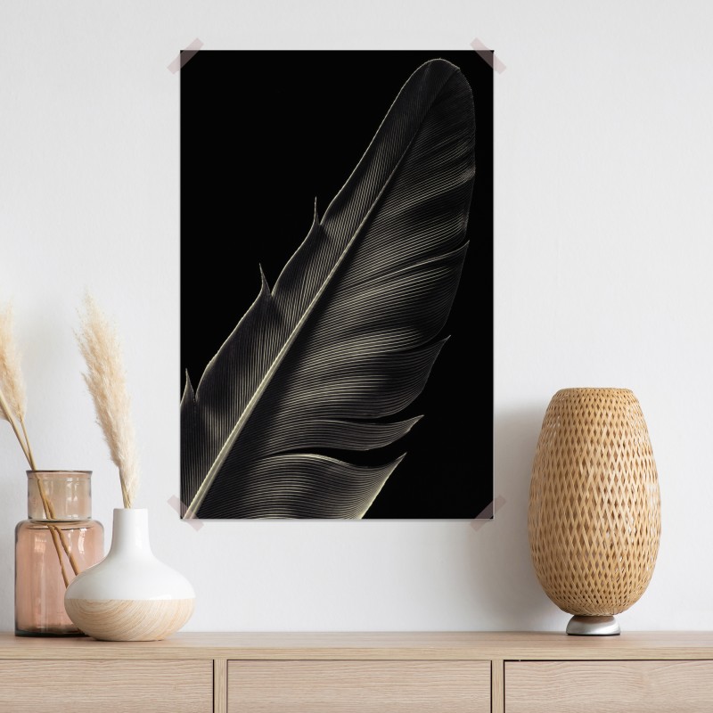 Plakat delikatne pióro w makrofotografii – Wallissimo® Plakat delikatne pióro w makrofotografii – Wallissimo®