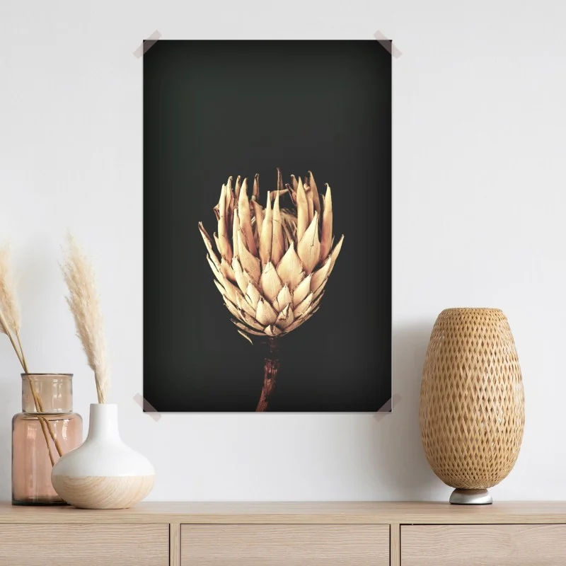 Plakat sucha protea w sepii – Wallissimo® Plakat sucha protea w sepii – Wallissimo®