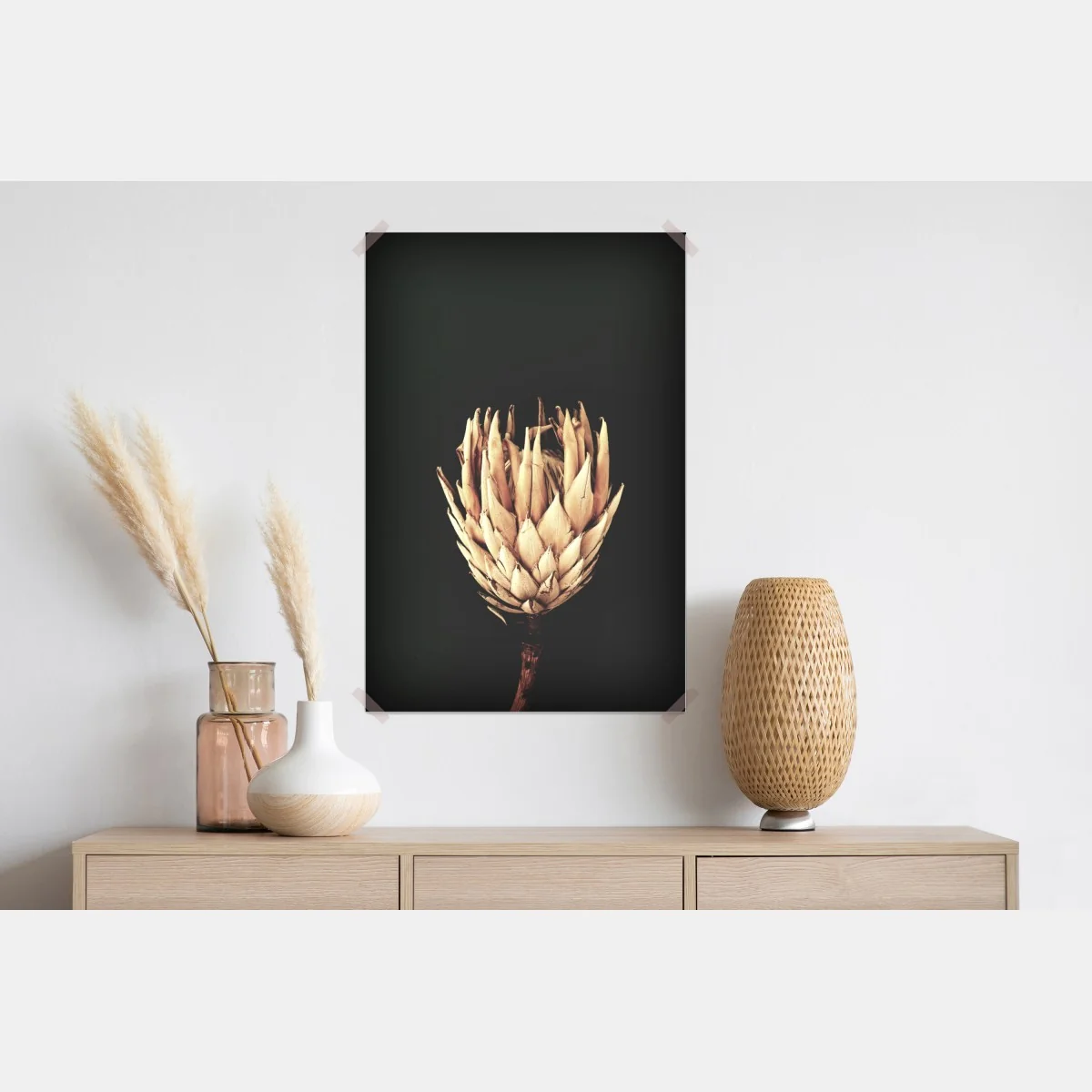 Plakat sucha protea w sepii – Wallissimo® Plakat sucha protea w sepii – Wallissimo®