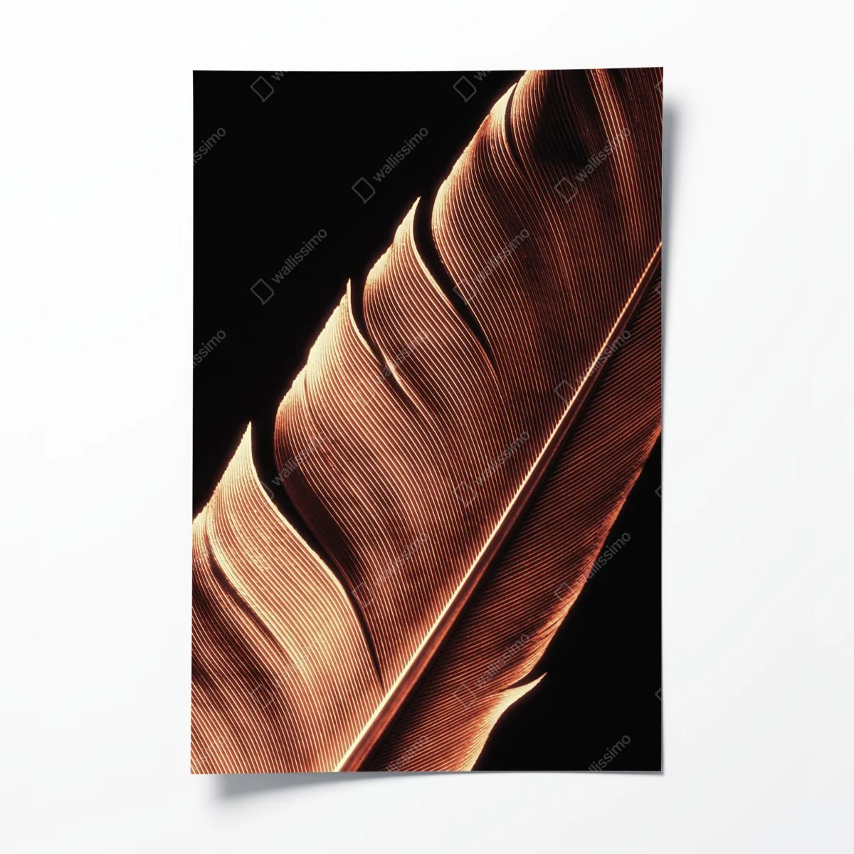 Plakat złote pióro makro na czarnym tle – Wallissimo® Plakat złote pióro makro na czarnym tle – Wallissimo®