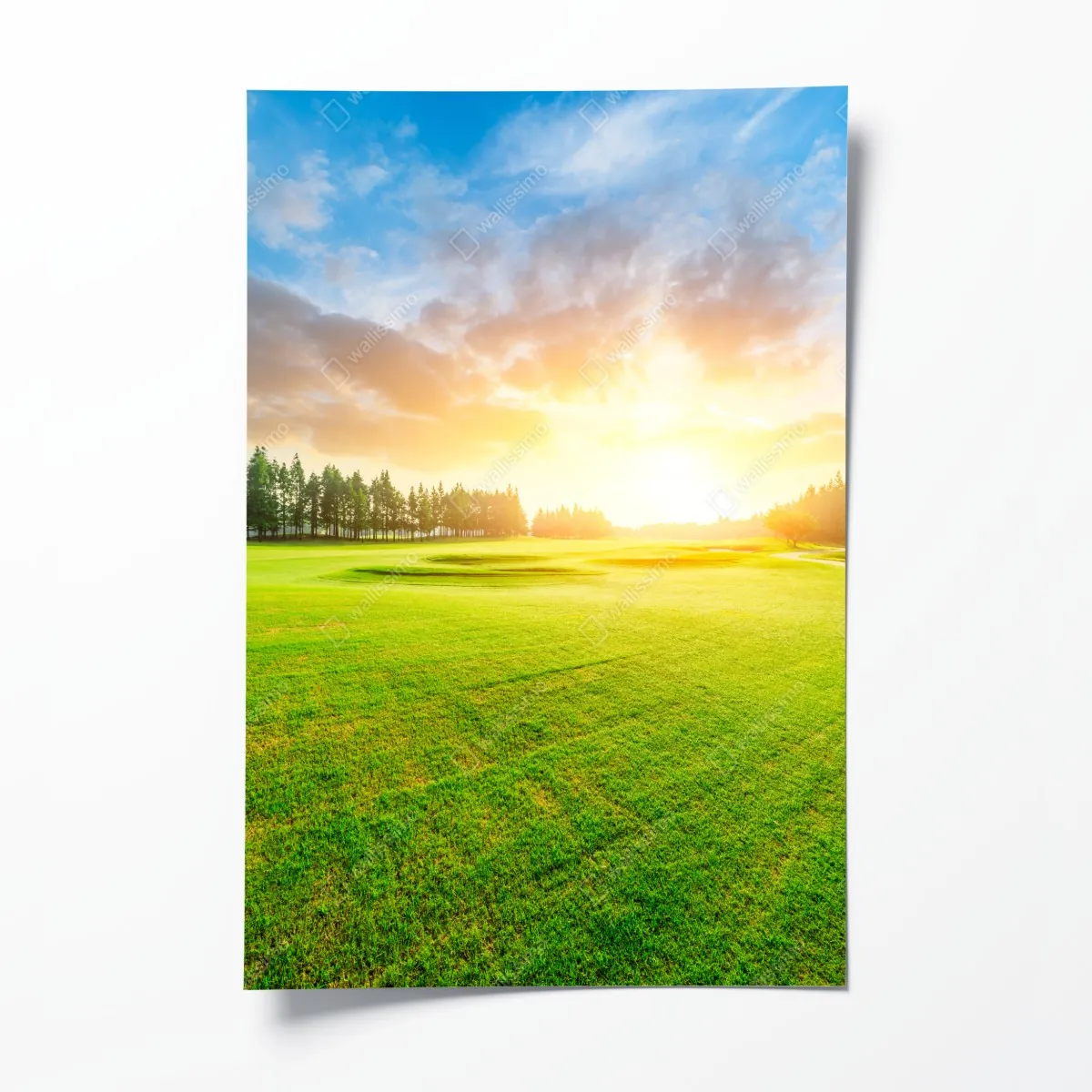 Plakat słoneczna łąka i las o wschodzie słońca – Wallissimo® Plakat słoneczna łąka i las o wschodzie słońca – Wallissimo®