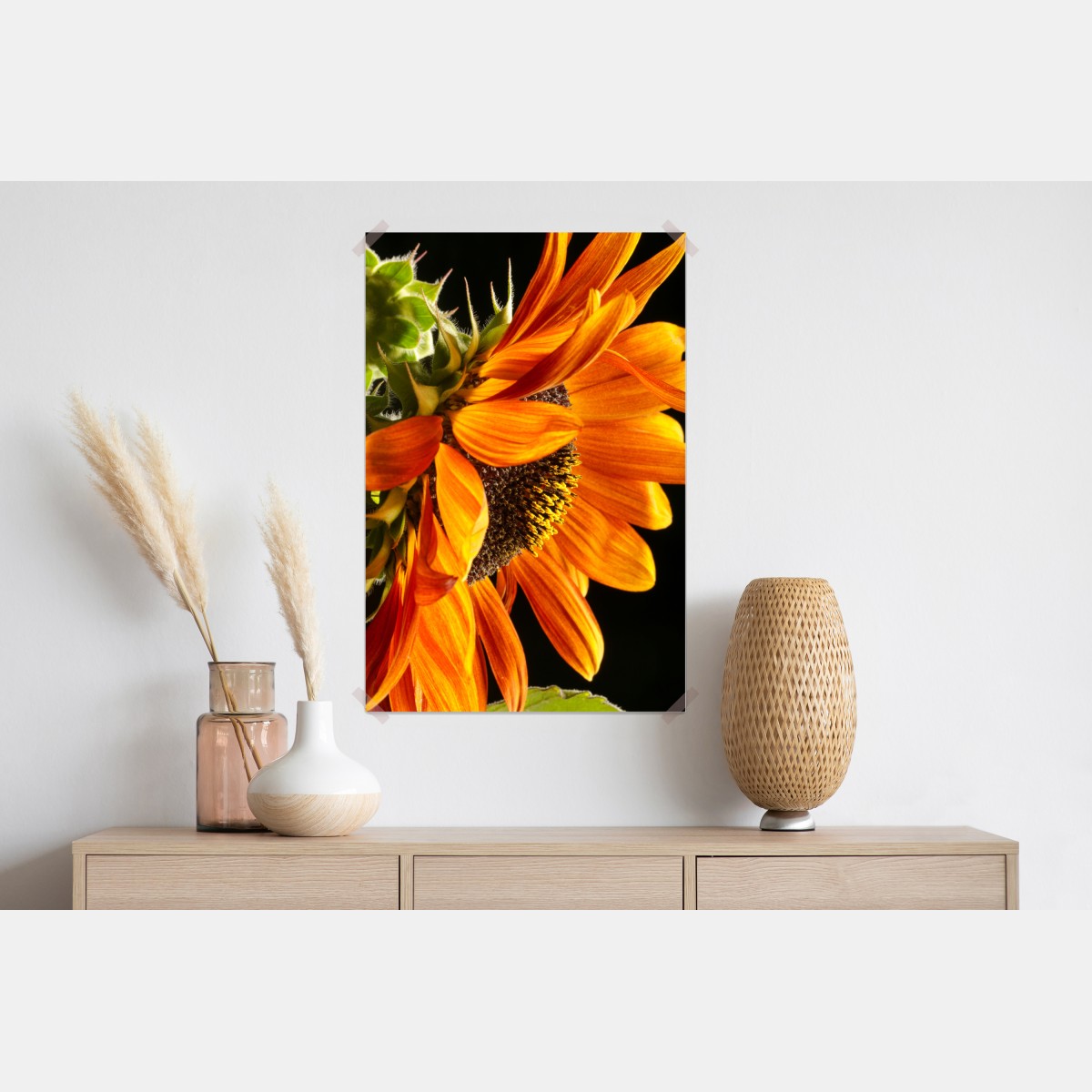 Plakat intensywny pomarańczowy słonecznik zbliżenie – Wallissimo® Plakat intensywny pomarańczowy słonecznik zbliżenie – Wallissimo®