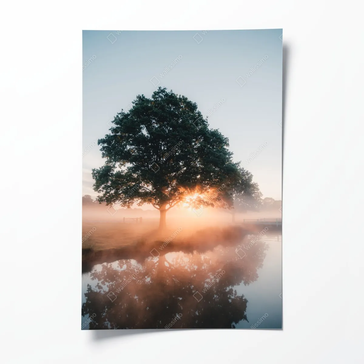 Plakat mglisty wschód słońca przy dębie – Wallissimo® Plakat mglisty wschód słońca przy dębie – Wallissimo®