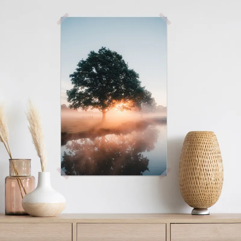 Plakat mglisty wschód słońca przy dębie – Wallissimo® Plakat mglisty wschód słońca przy dębie – Wallissimo®