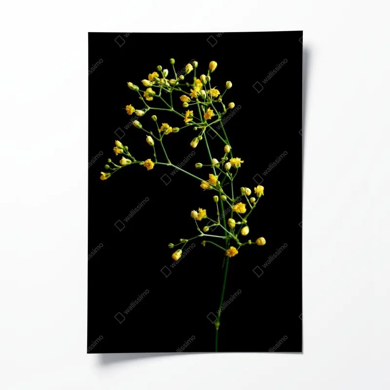 Plakat retro czerwone goździki wzór kwiatowy – Wallissimo®