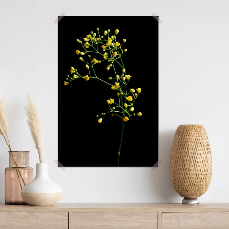 Plakat delikatna żółta gipsówka na czarnym tle – Wallissimo® Plakat delikatna żółta gipsówka na czarnym tle – Wallissimo®