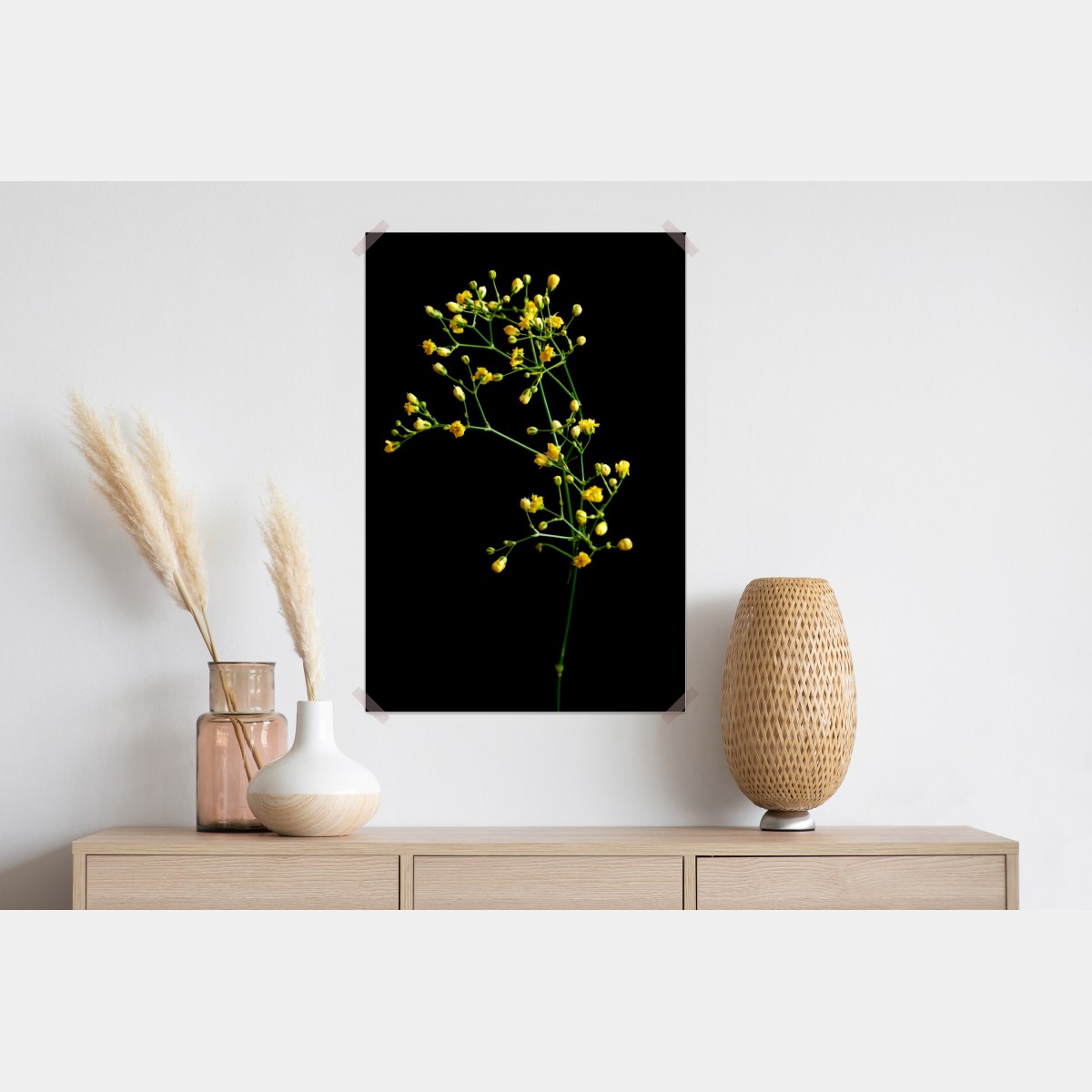 Plakat delikatna żółta gipsówka na czarnym tle – Wallissimo® Plakat delikatna żółta gipsówka na czarnym tle – Wallissimo®