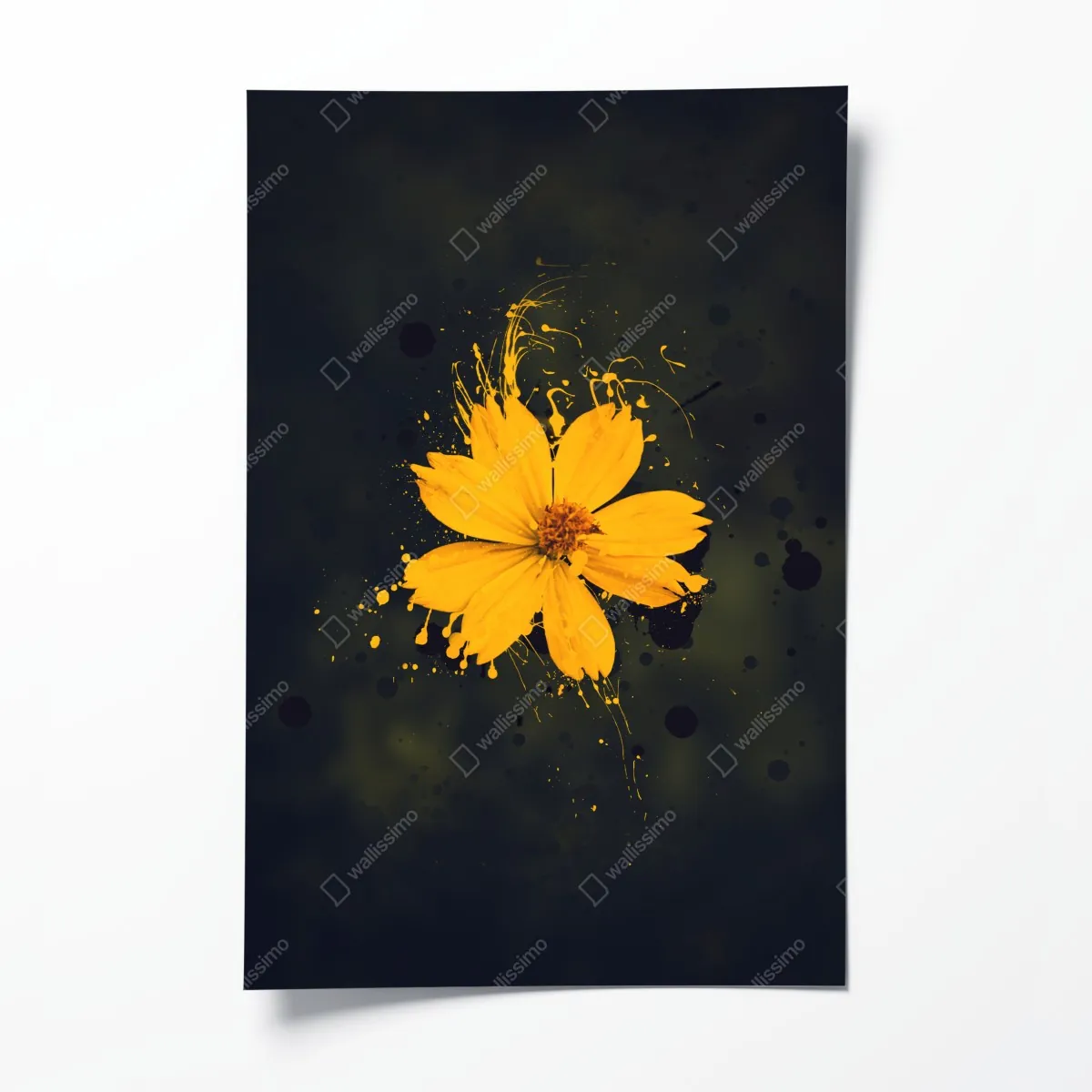 Plakat intensywny żółty kwiat na ciemnym tle – Wallissimo® Plakat intensywny żółty kwiat na ciemnym tle – Wallissimo®