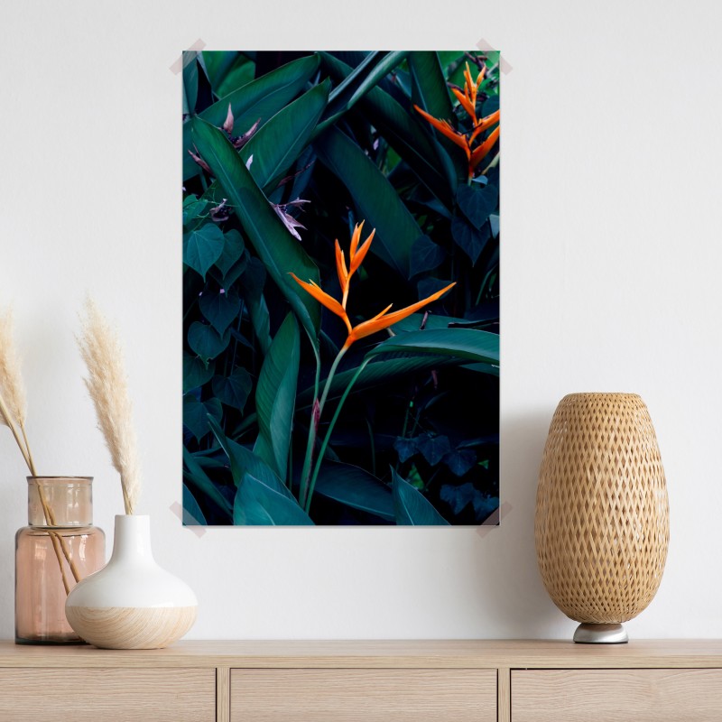 Plakat żywa strelicja na tle ciemnozielonych liści – Wallissimo® Plakat żywa strelicja na tle ciemnozielonych liści – Wallissimo®