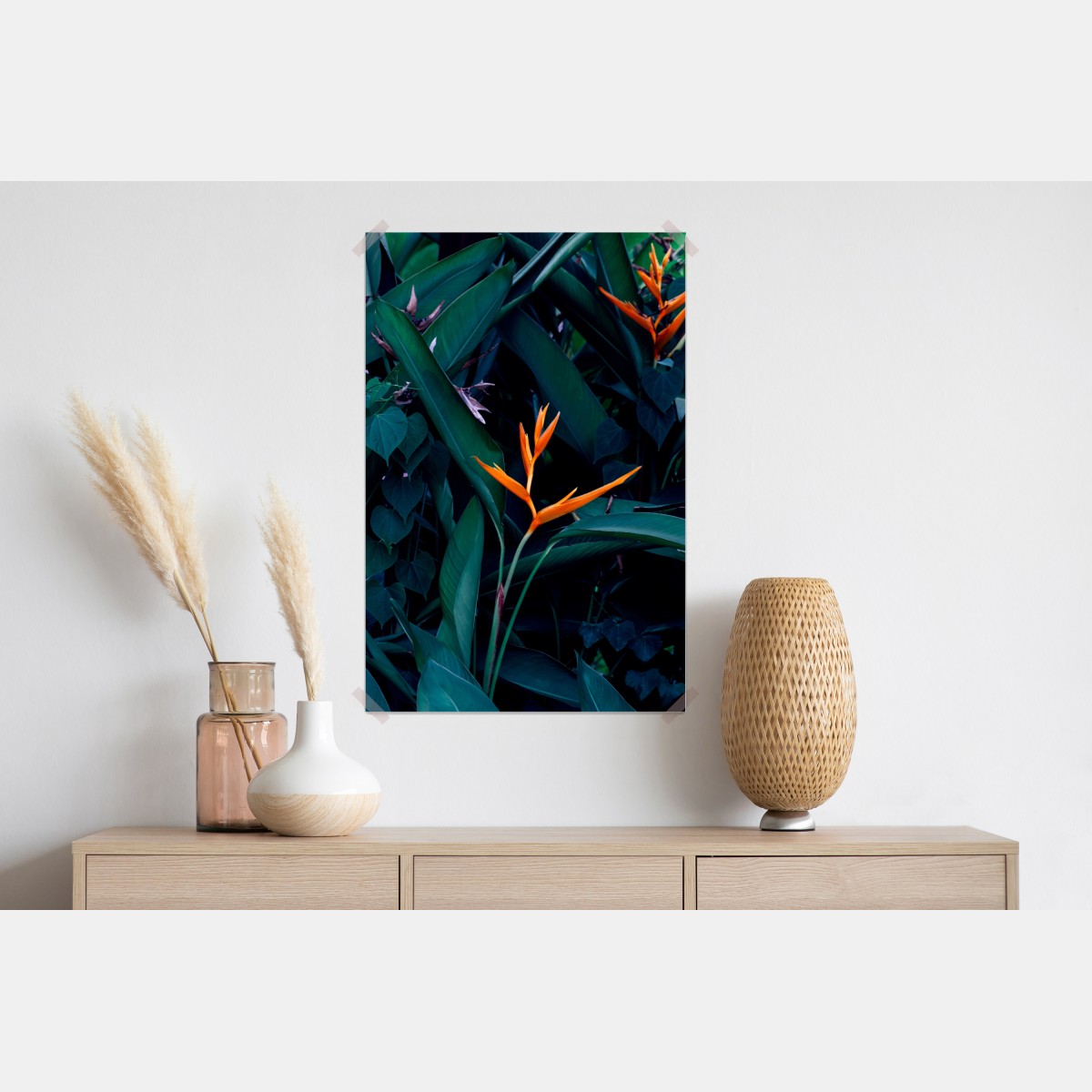 Plakat żywa strelicja na tle ciemnozielonych liści – Wallissimo® Plakat żywa strelicja na tle ciemnozielonych liści – Wallissimo®