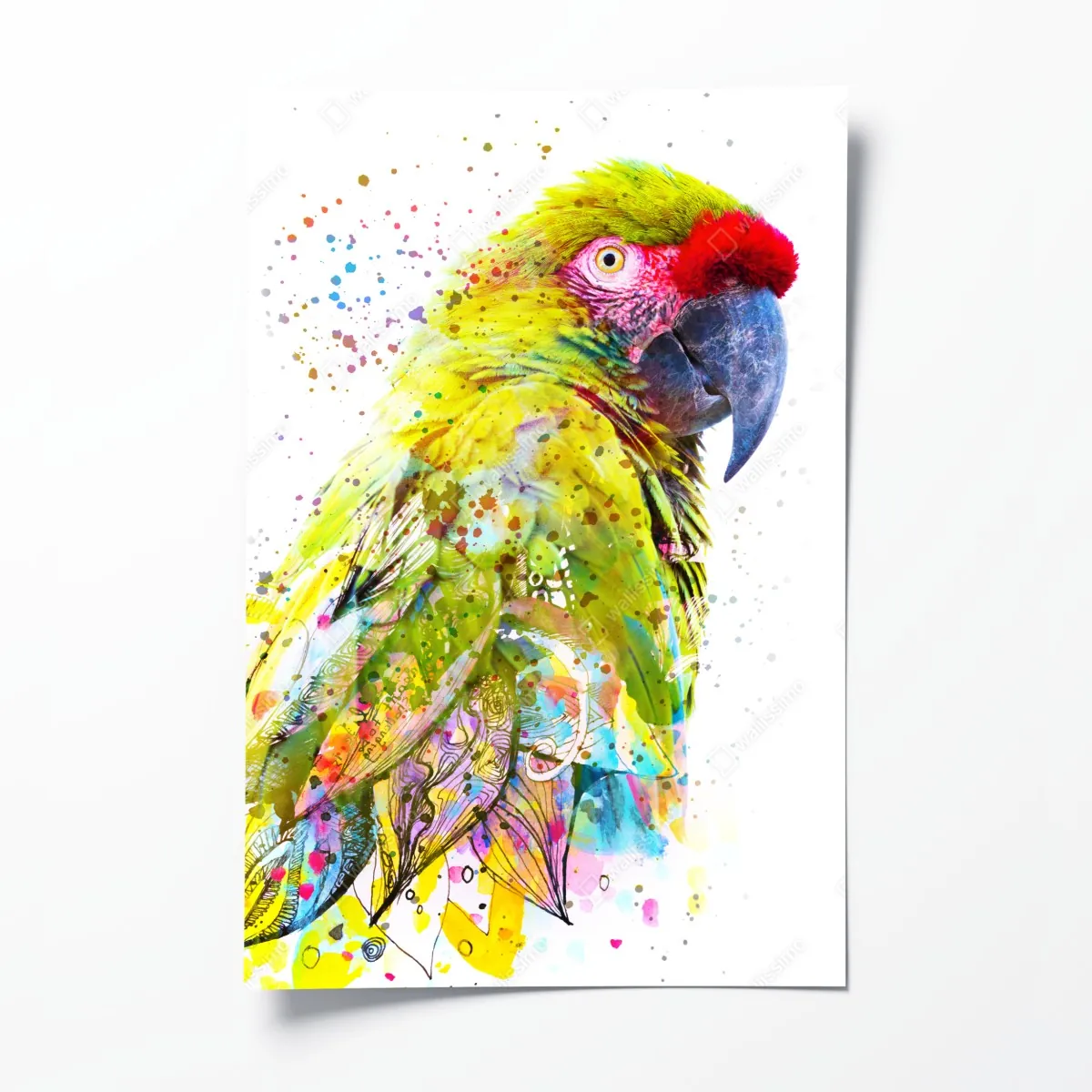 Plakat żywy portret papugi w akwareli – Wallissimo® Plakat żywy portret papugi w akwareli – Wallissimo®