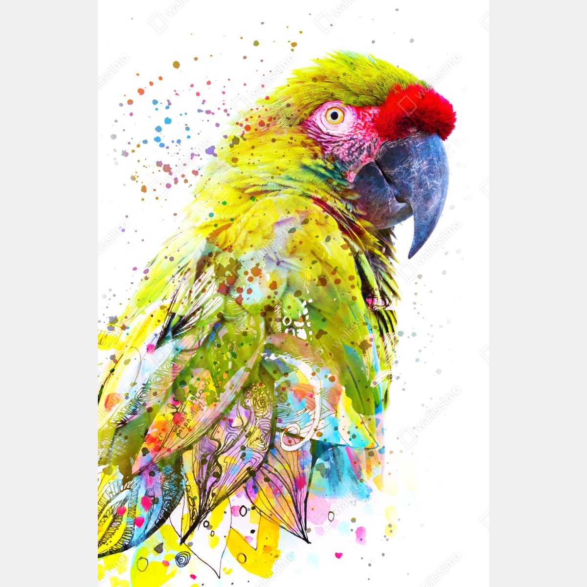 Plakat żywy portret papugi w akwareli – Wallissimo® Plakat żywy portret papugi w akwareli – Wallissimo®