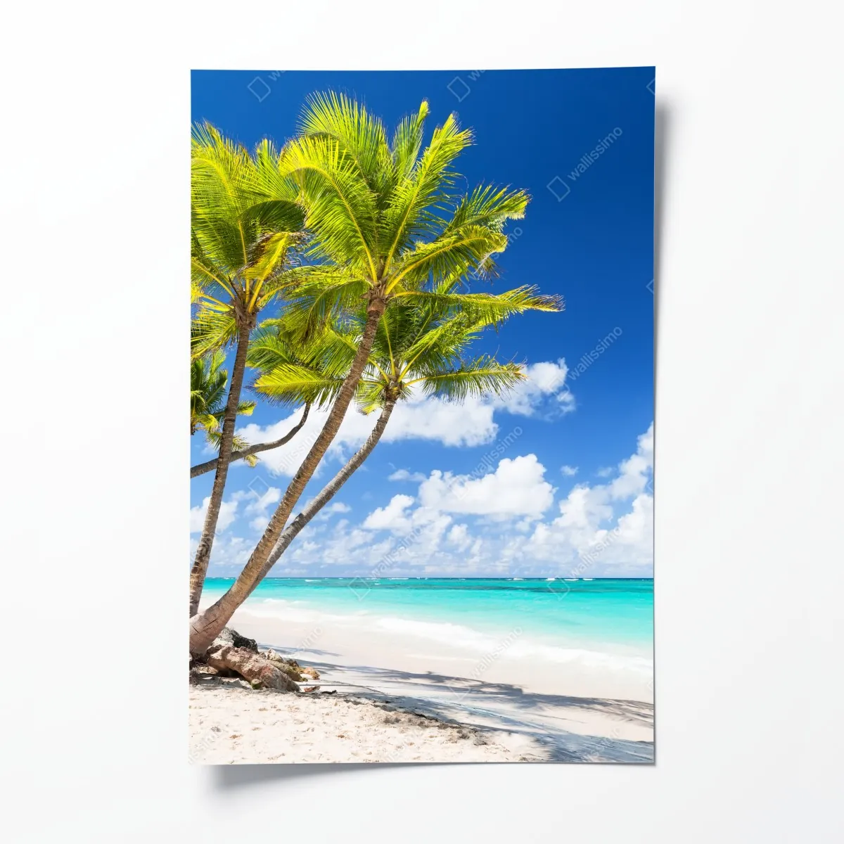 Plakat tropikalna plaża z palmami w Punta Cana – Wallissimo® Plakat tropikalna plaża z palmami w Punta Cana – Wallissimo®