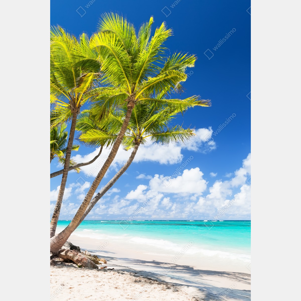 Plakat tropikalna plaża z palmami w Punta Cana – Wallissimo® Plakat tropikalna plaża z palmami w Punta Cana – Wallissimo®